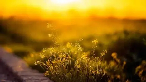 无畏契约》电竞公益新实践：玩家参与共建14片运动篮球场，推动社区运动设施建设